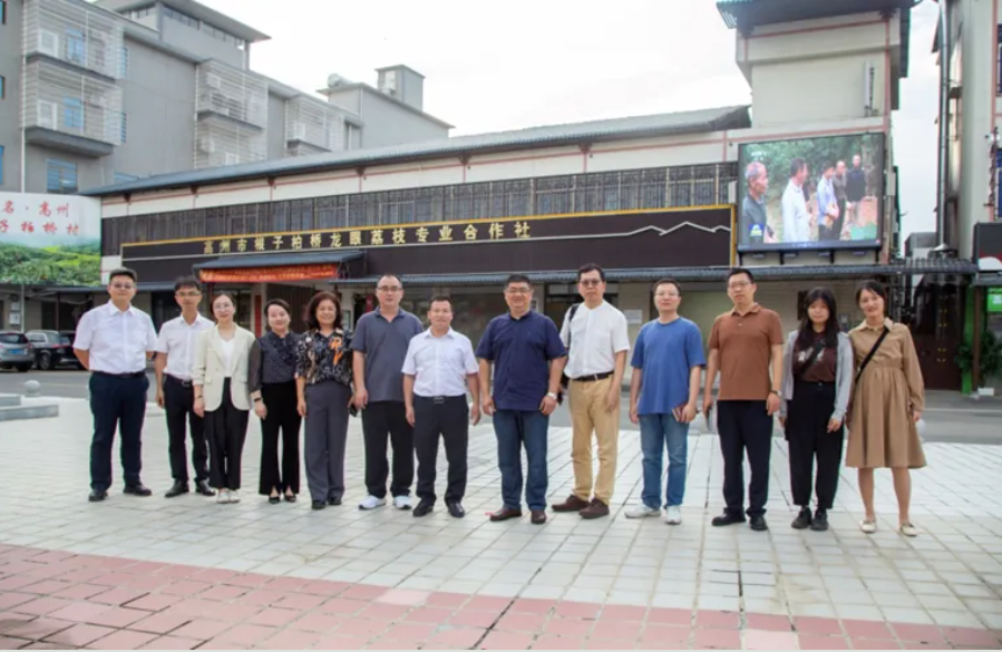 image-20240529110559-1